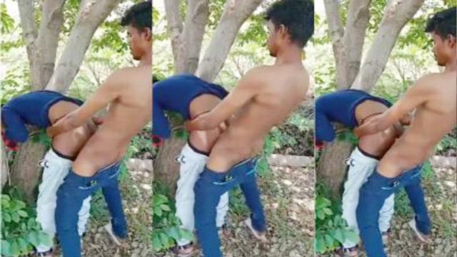 Outdoor Tree Cousin Sex – School Bunk Couple